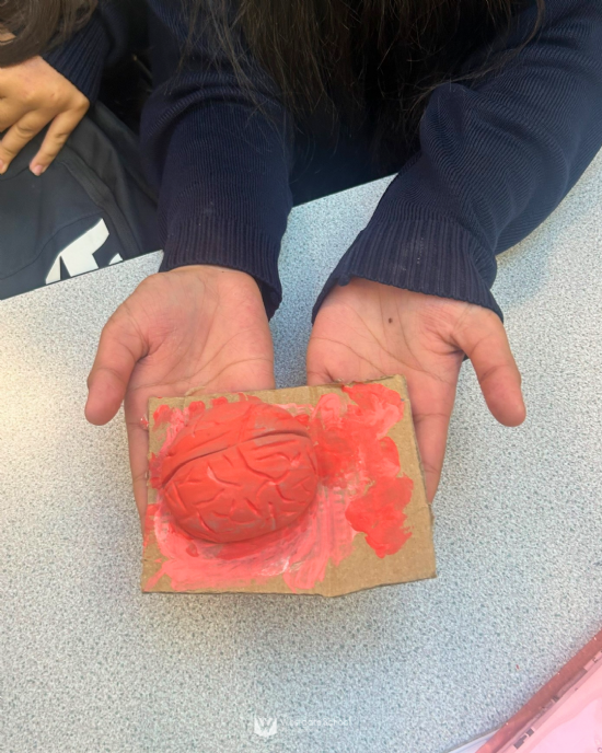 Step Into The NHS Competition