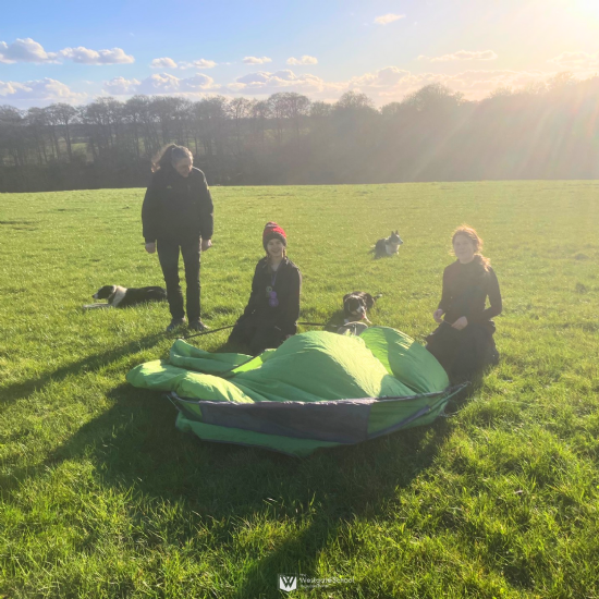 Silver Success: A Journey Through the Chilterns